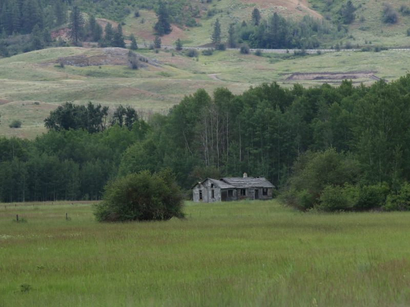 An old, abandoned cabin sits surrounded by tall grass in the Nespelem Valley on the Colville Indian Reservation.