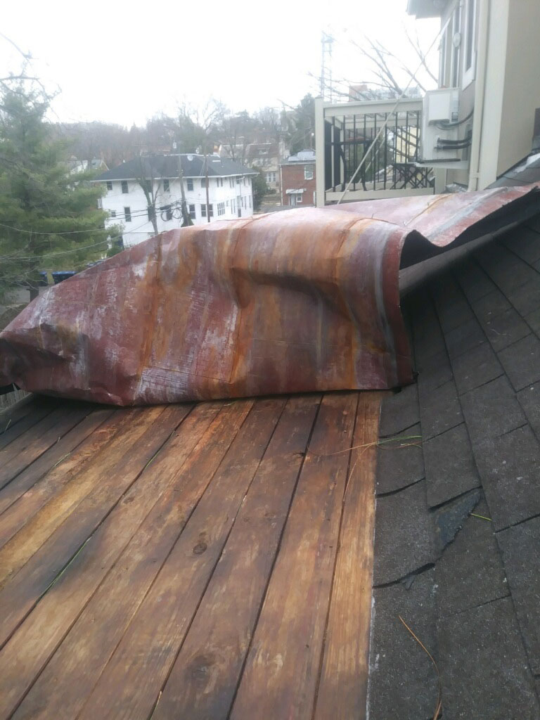 A piece of roofing that peeled off Sara Meacham's roof in Washington, D.C.